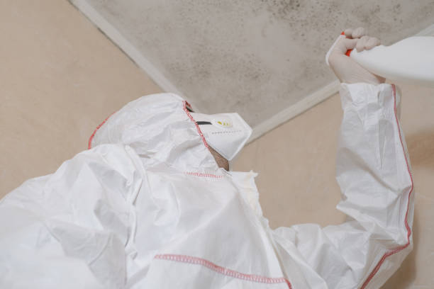 River Oaks, TX Mold Remediation Company